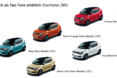 Garage Brüllhardt GmbH - Niederuzwil - Suzuki IGNIS kaufen / Service